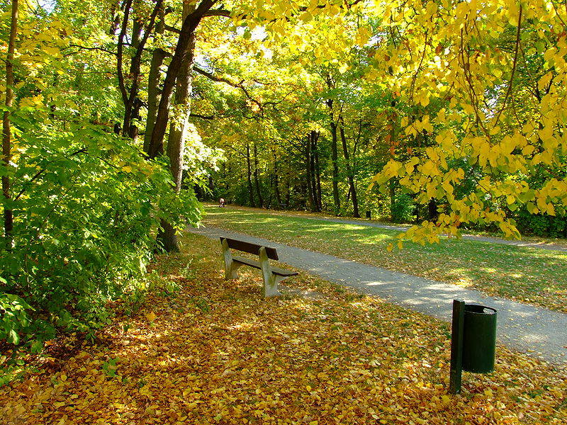 Prague Hvezda Preserve