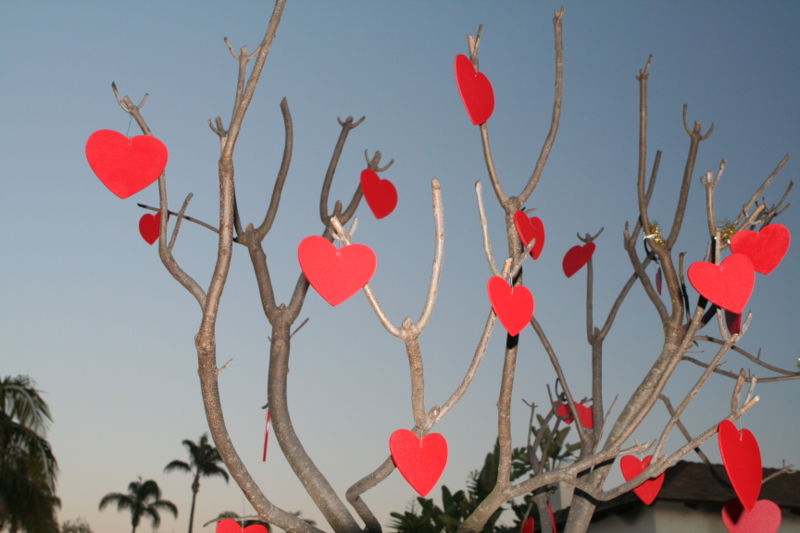 Valentine's Day Hearts
