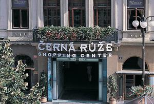 Cerna Ruze