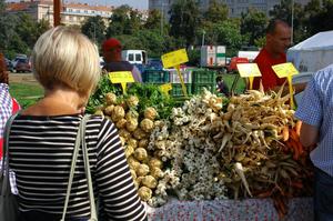 Naplavka Farmers Market