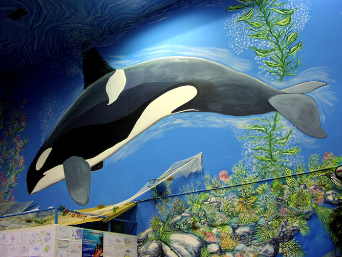 Dolphins