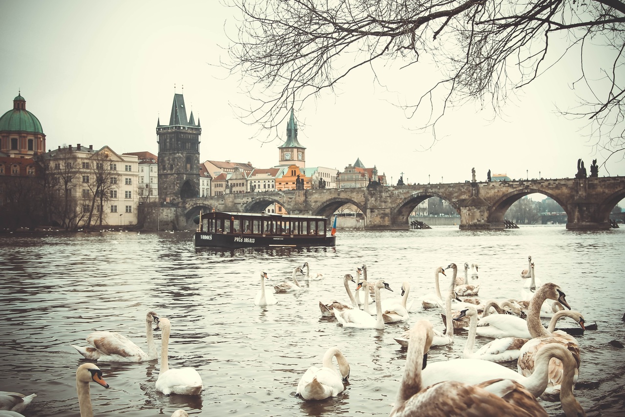 water-nature-winter-white-morning-river