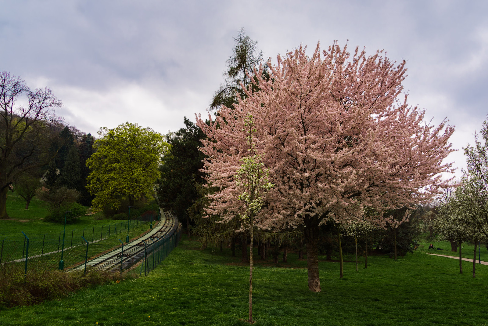 Spring in Prague