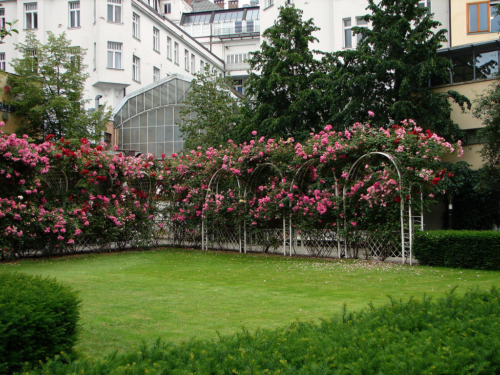 Franciscan Garden