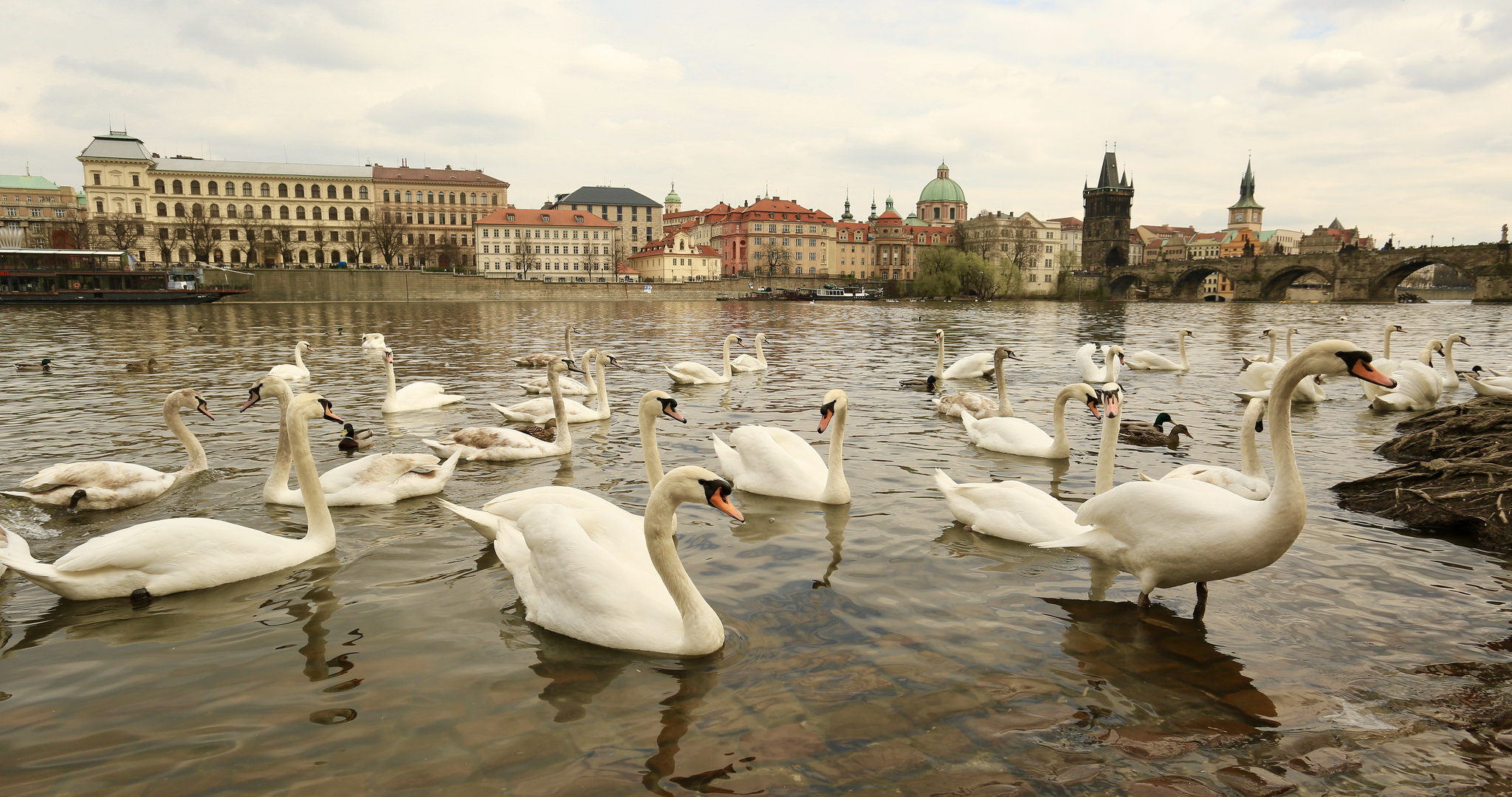 Prague