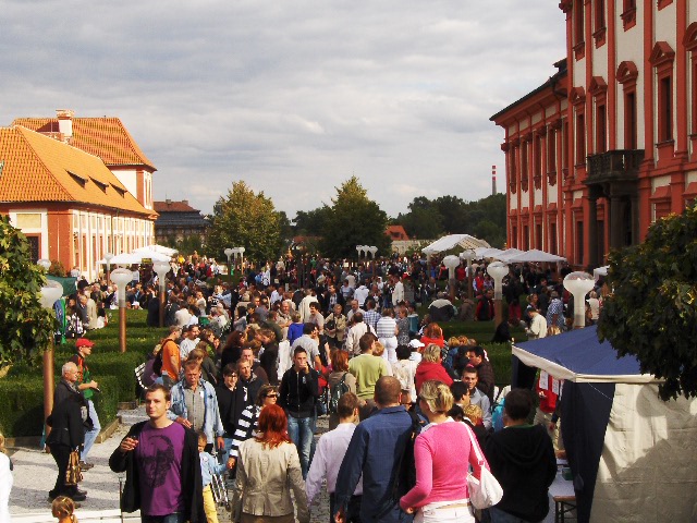 Wine Festival