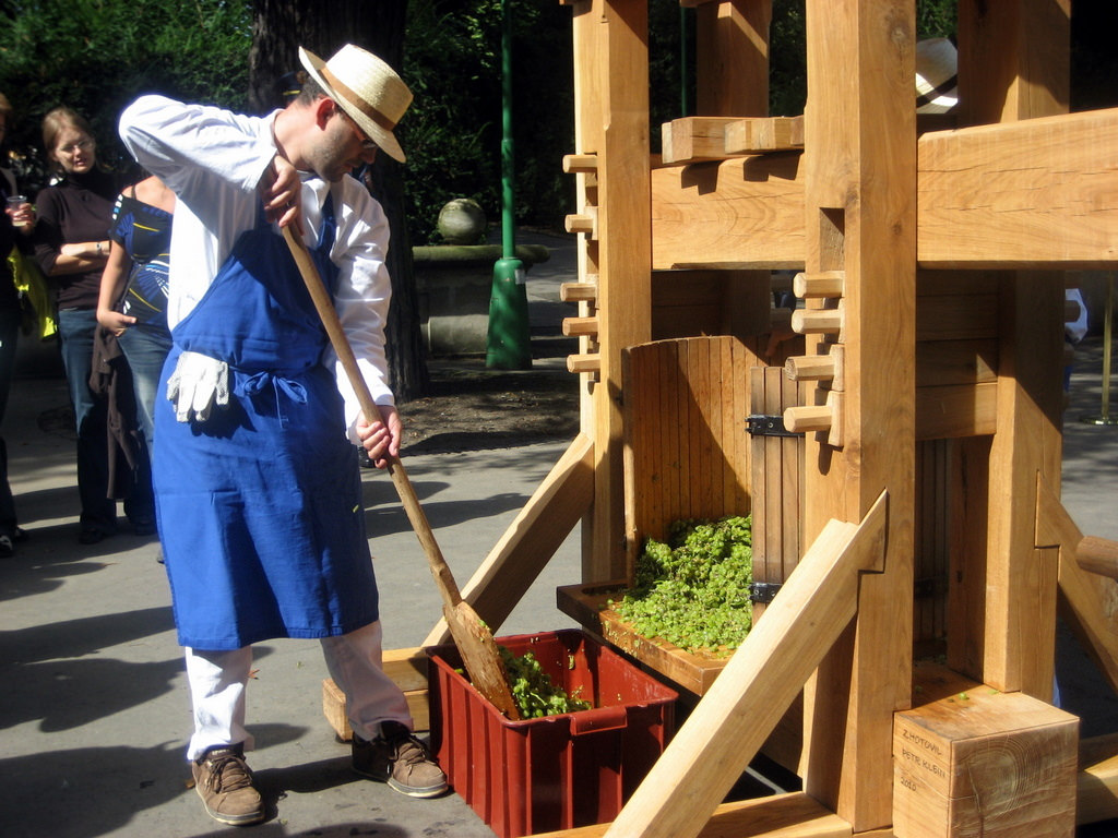 Wine Harvest Festival