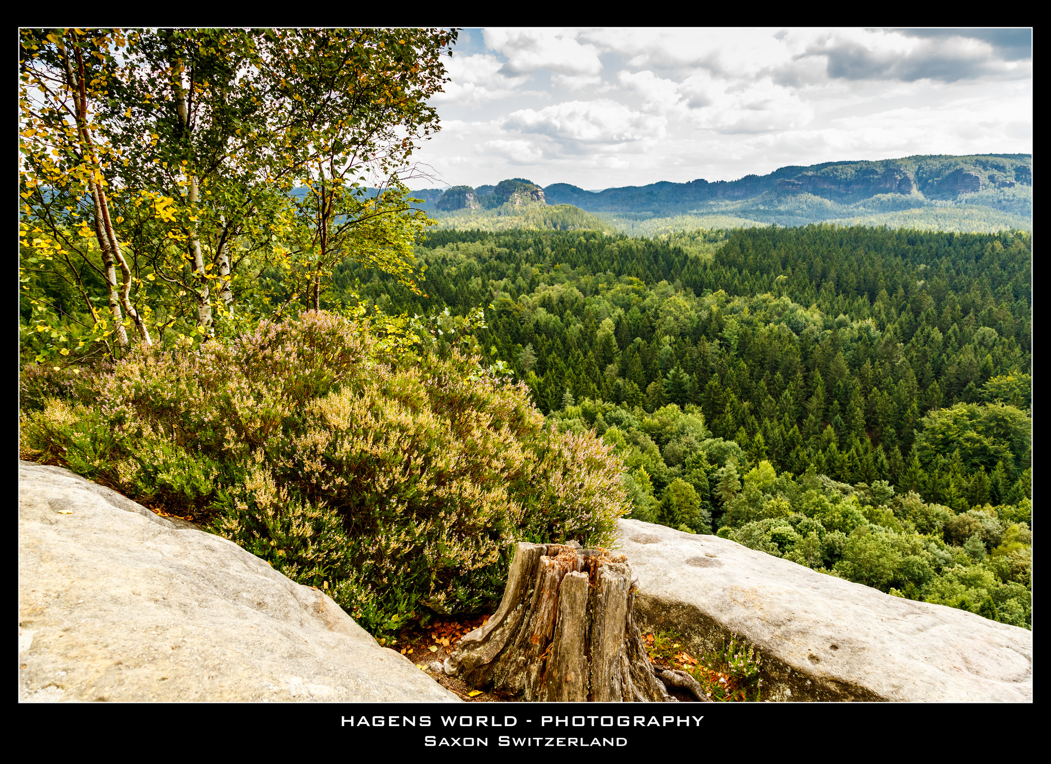 Bohemian Switzerland National Park