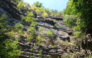 Thumbnail for Visit the Bohemian Switzerland National Park in Prague