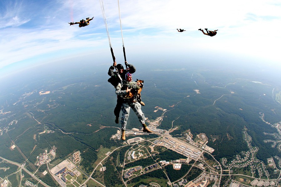 Enjoy a Skydiving Adventure in Prague Prague Blog
