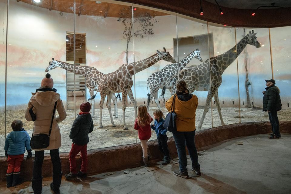 Zoo Praha
