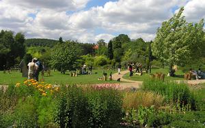 Thumbnail for Wandering Around Prague’s Iconic Botanical Garden