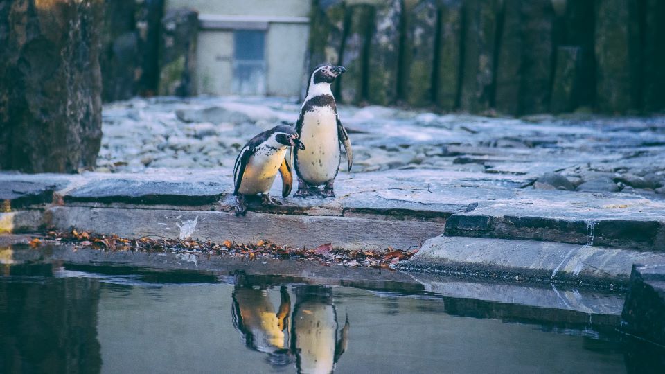 Prague Zoo