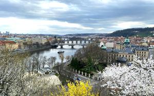 Thumbnail for Discovering Prague’s Springtime Delights