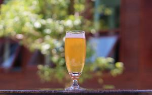 Thumbnail for The Rise of Craft Beer in Prague: Breweries and Tasting Tours Beyond the Classics